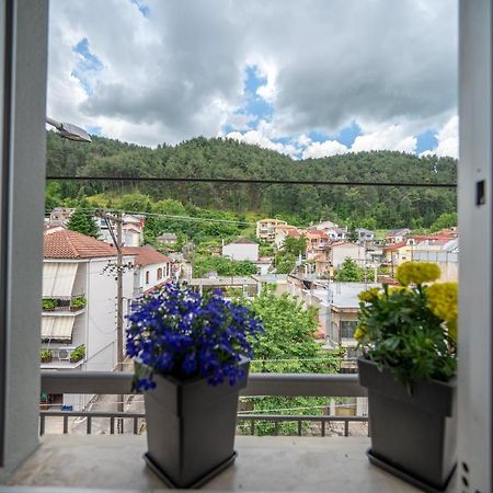 Inn Ioannina Apartment Εξωτερικό φωτογραφία